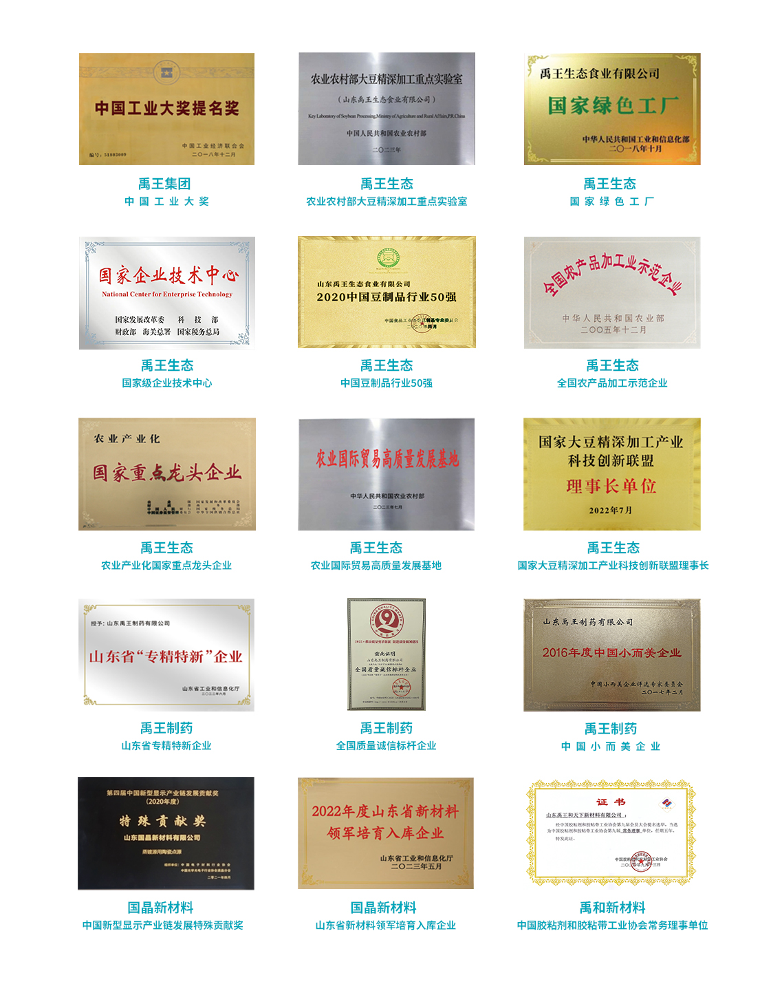 企業(yè)榮譽-定(去實業(yè)）.jpg